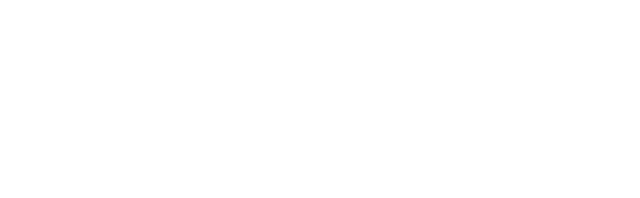 STUDIO BERGONZI